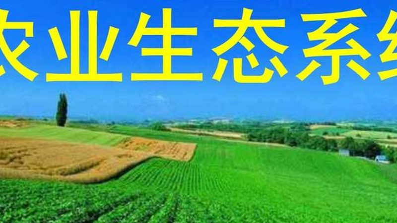 四川农产品追溯平台：构建食品安全新防线