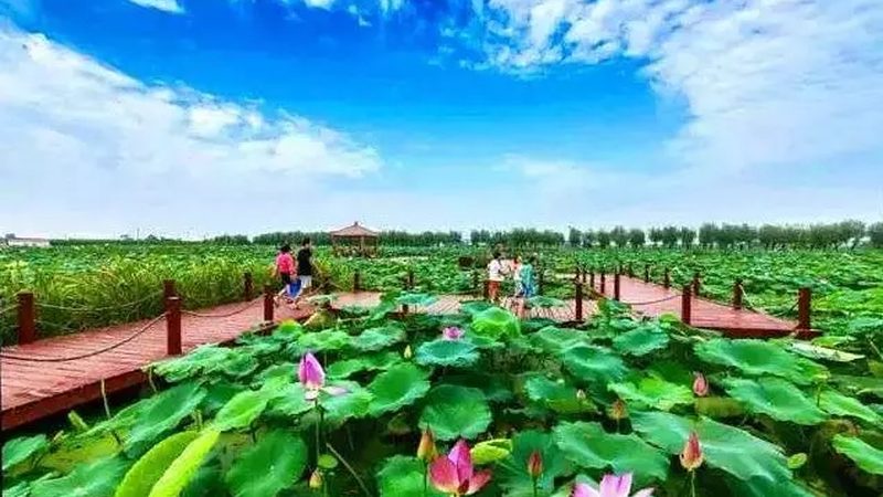 家庭农场扩建产业园，费用构成与预算规划