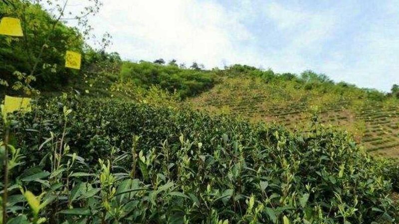 农产品电商运营成本控制之道