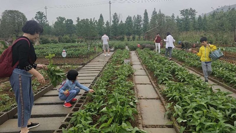 农资采购，如何避免陷入误区？**