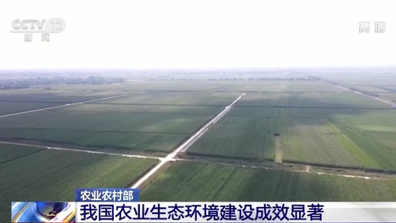 果蔬配送公司加盟，费用构成与考量因素**