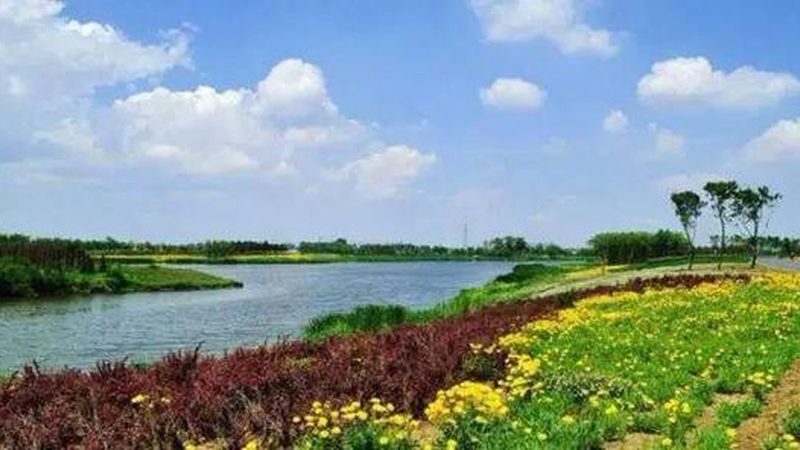 农产品加工项目投资回报率：如何科学评估与优化**
