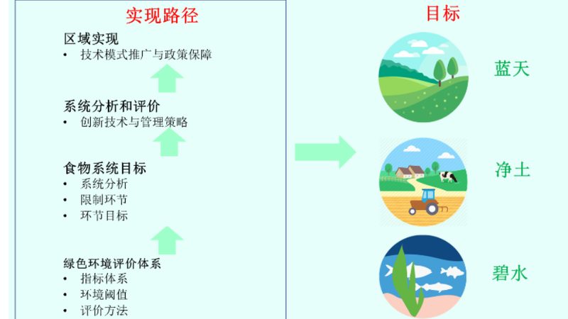 屋顶农业种植优缺点分析：探索绿色生态的新途径