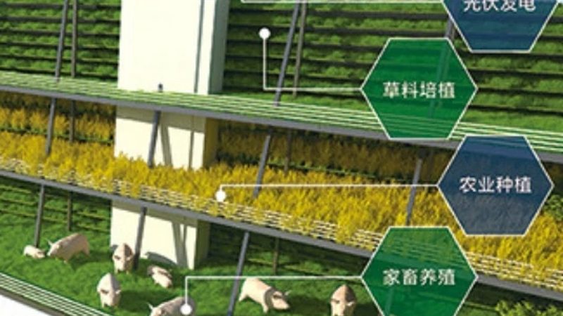 农产品供应链金融：如何选择合适的金融服务机构**
