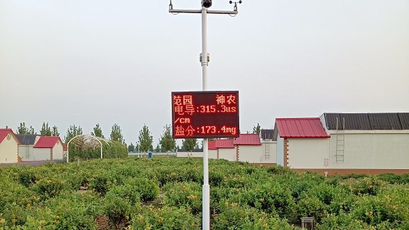 绿色食品品牌性价比解析：如何选对优质之选