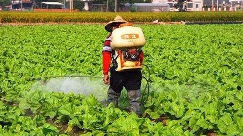 智慧农业种植系统：参数配置的关键要素