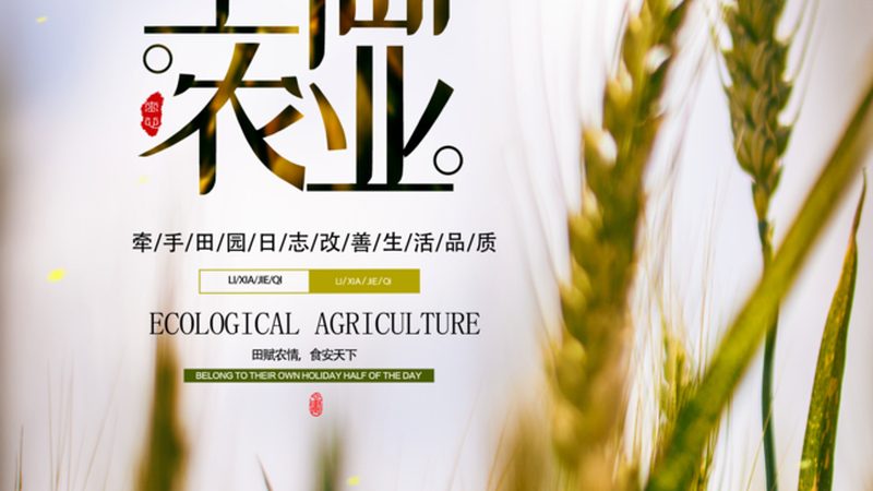 合作社与家庭农场：小农户发展的双路径选择